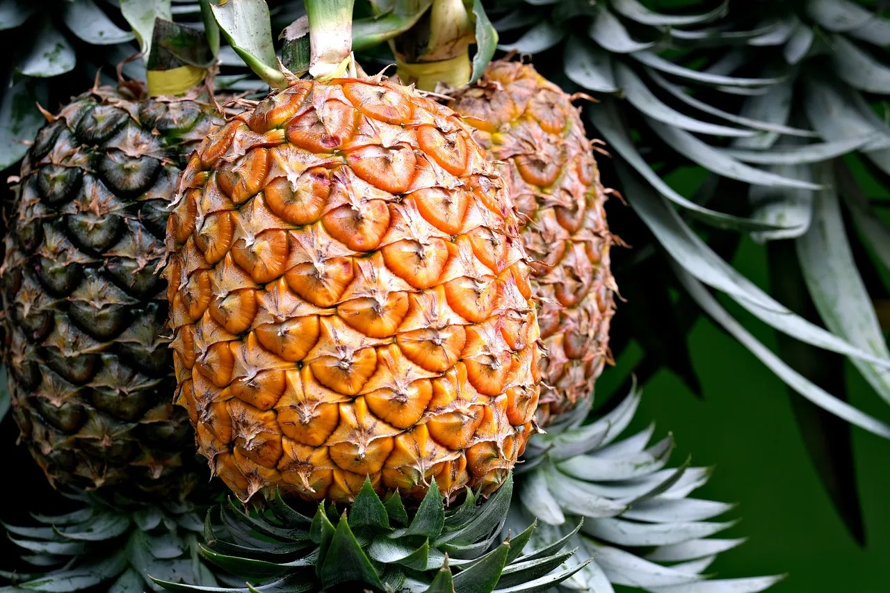 comment savoir si un ananas est mûr ?
