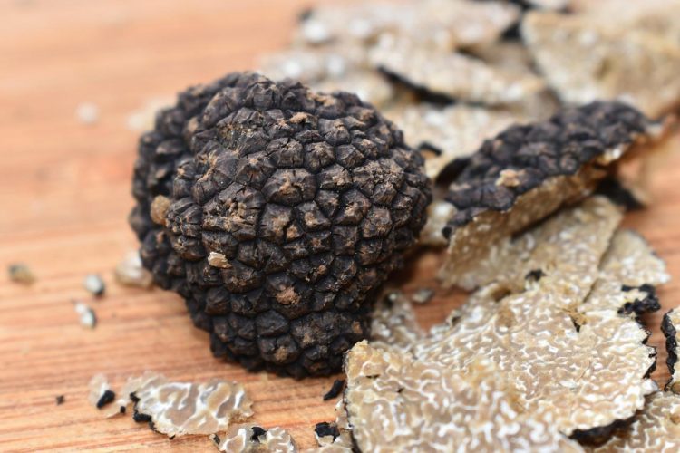 Tout savoir sur la truffe blanche d’Alba