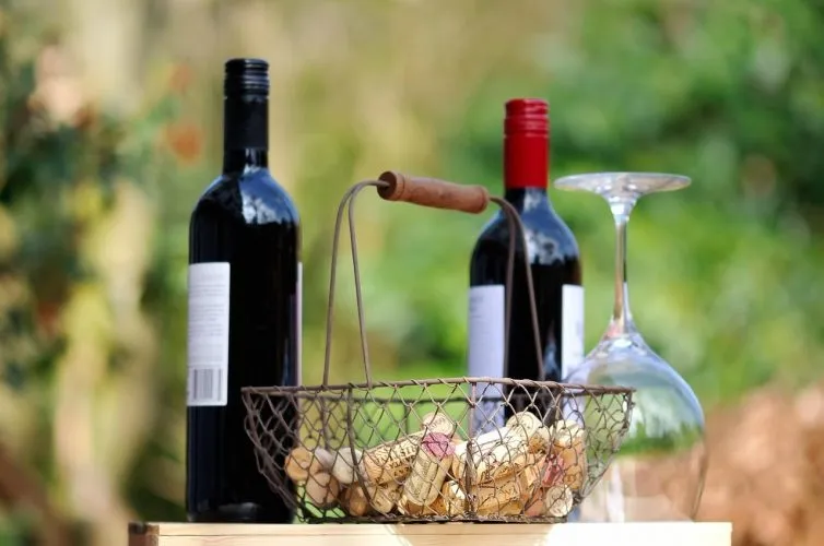 Comment être sûr de déguster de bons vins?