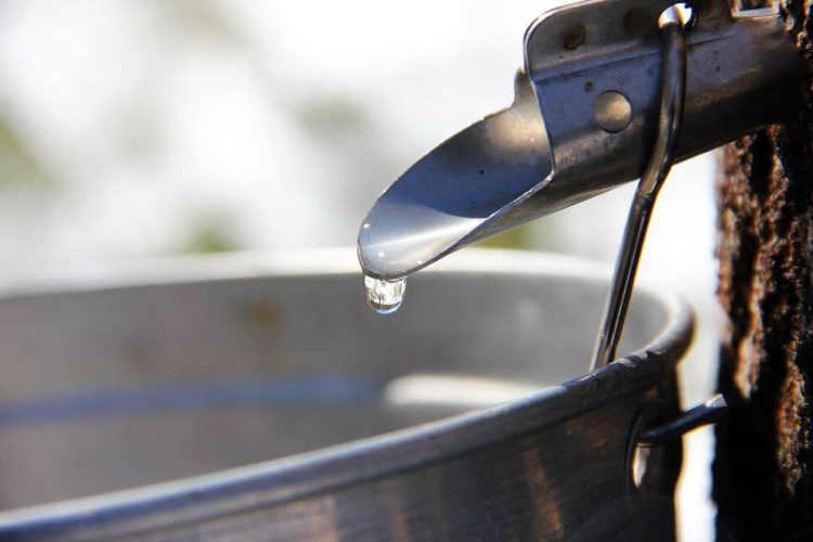 sirop d'érable