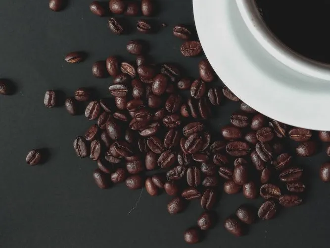 "Formation cuisine"