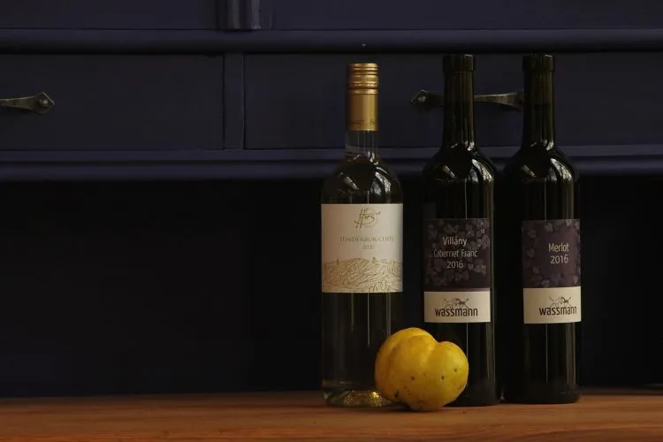 L’équipement nécessaire pour une cave à vin