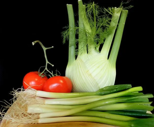 Comment cuisiner le fenouil : Nos recettes !