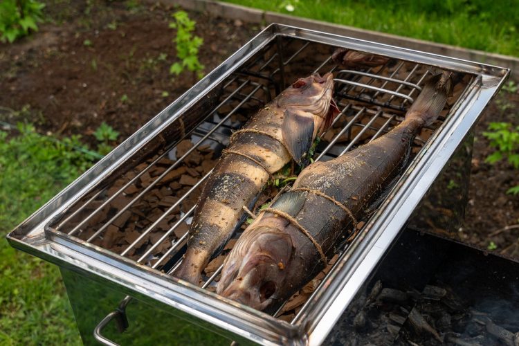 &quot;Formation cuisine&quot;