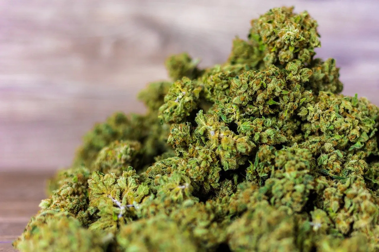 Améliorer votre bien-être grâce aux fleurs CBD