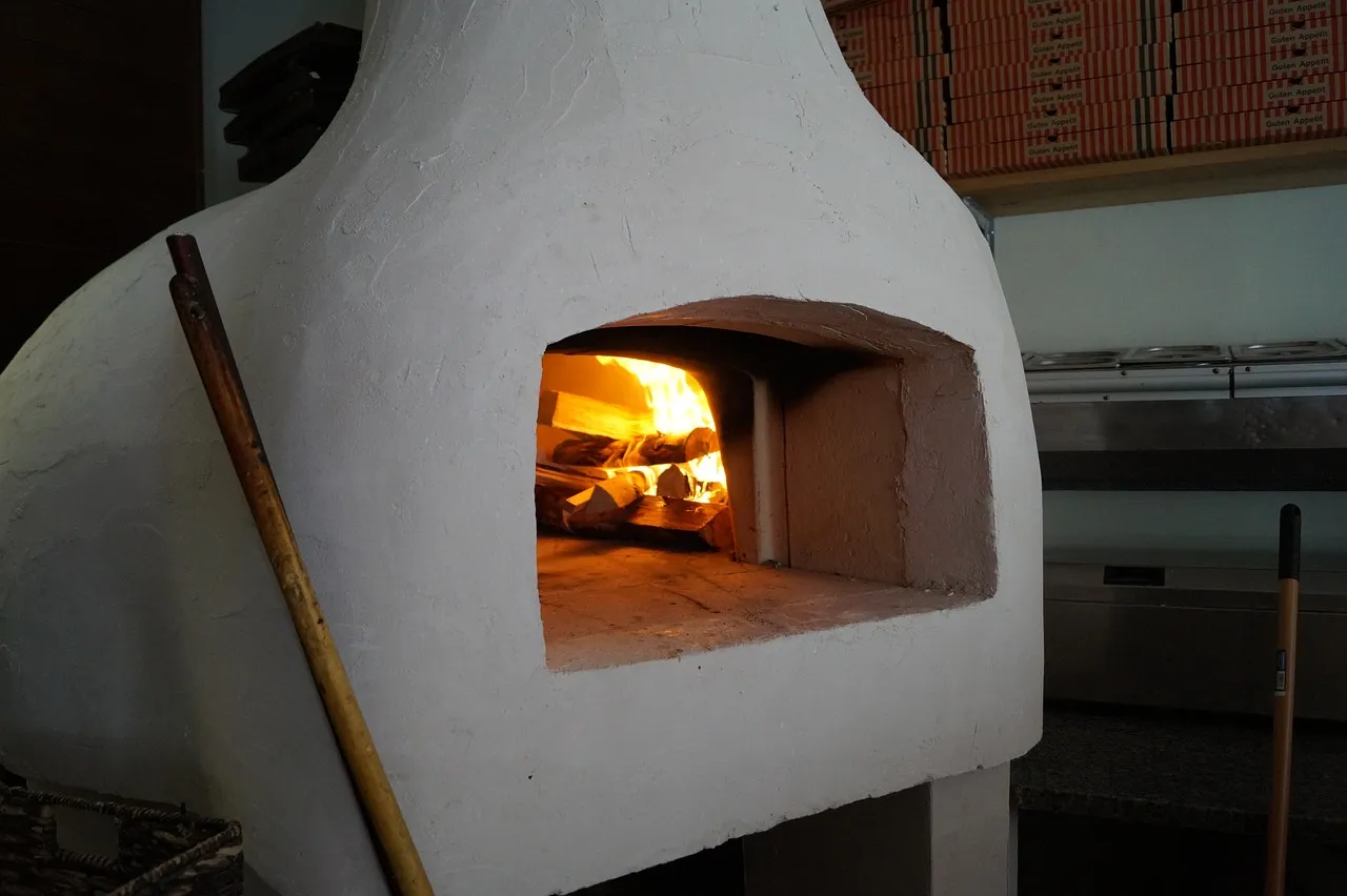 Comment choisir votre four à pizza idéal chez vous ?