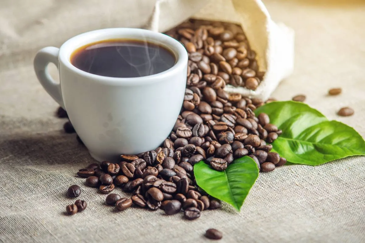 Quel café en grains choisir pour un expresso corsé ?