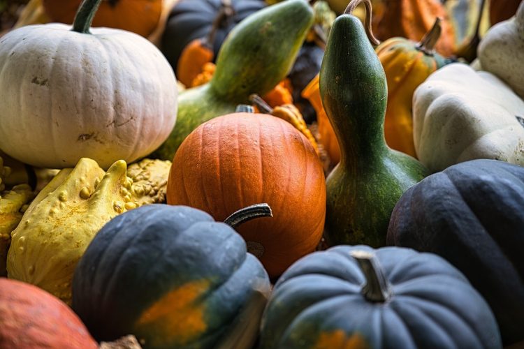 3 recettes que l’on peut réaliser avec un robot cuiseur