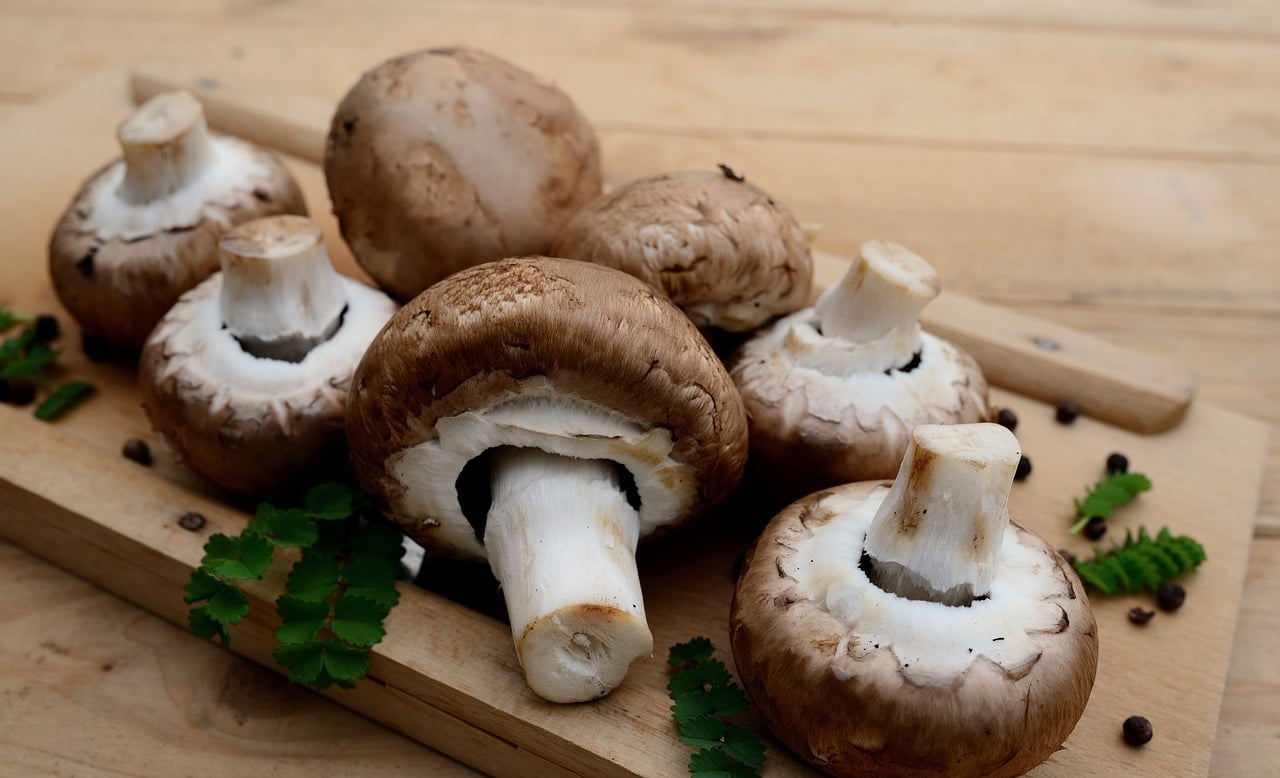 Comment préparer une irrésistible tarte aux champignons?