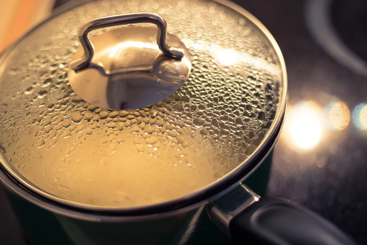La cocotte, un ustensile incontournable dans votre cuisine