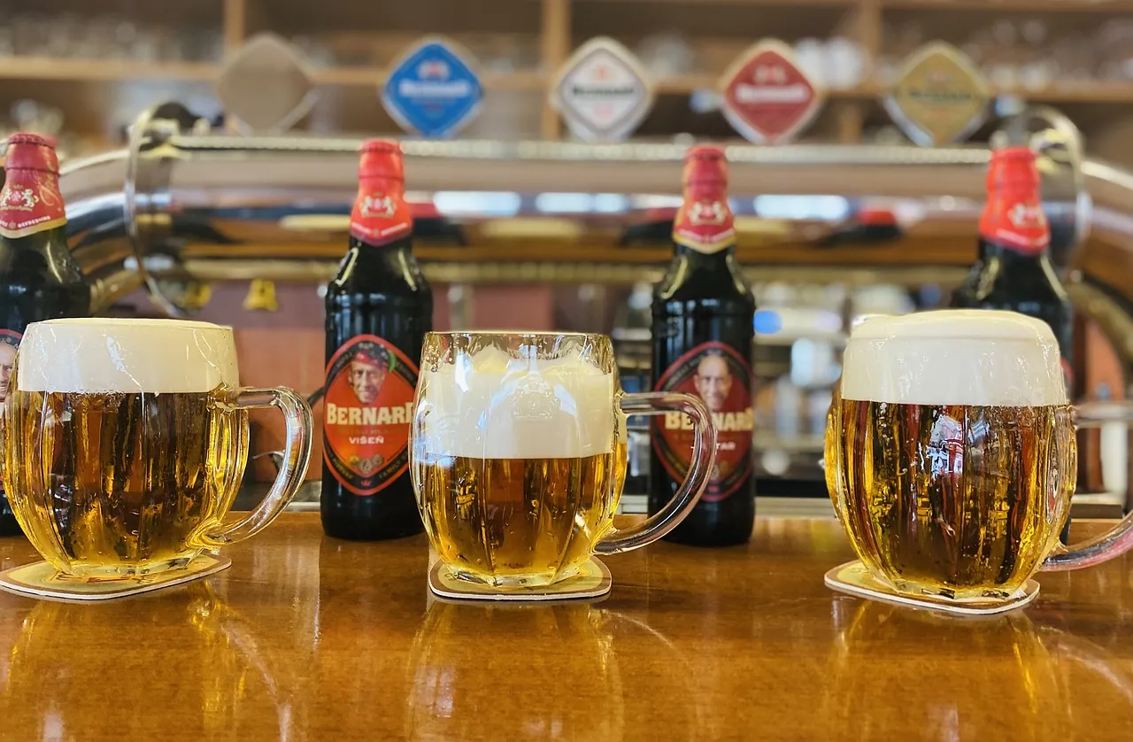 Les meilleurs bars à bière à Lyon : Une tournée gastronomique