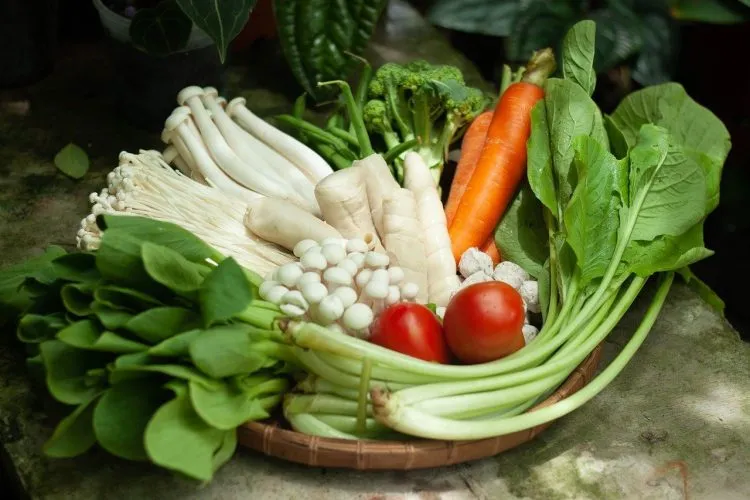 Pourquoi privilégier les produits vegan dans son alimentation ?