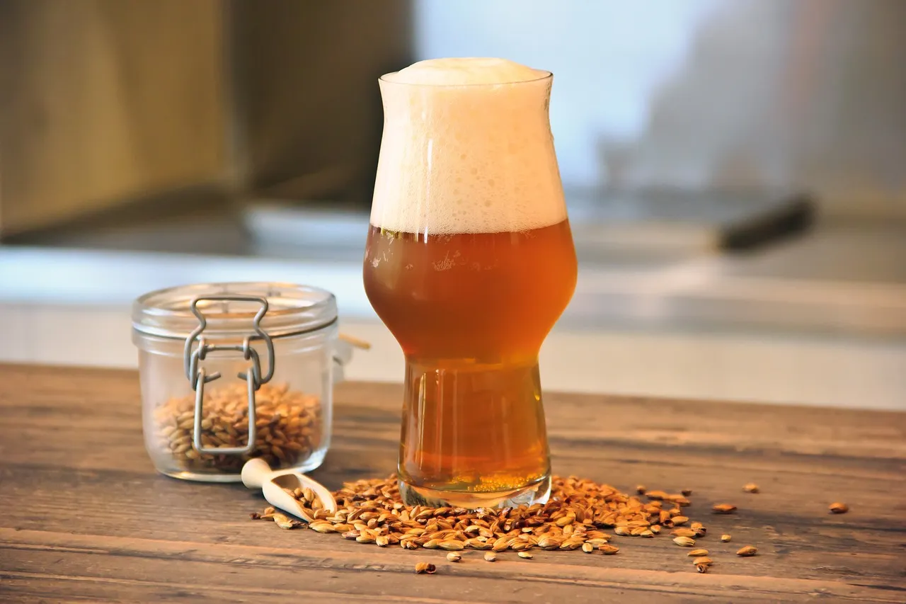 L’ingrédient principal de la fabrication de bière : le malt d’orge