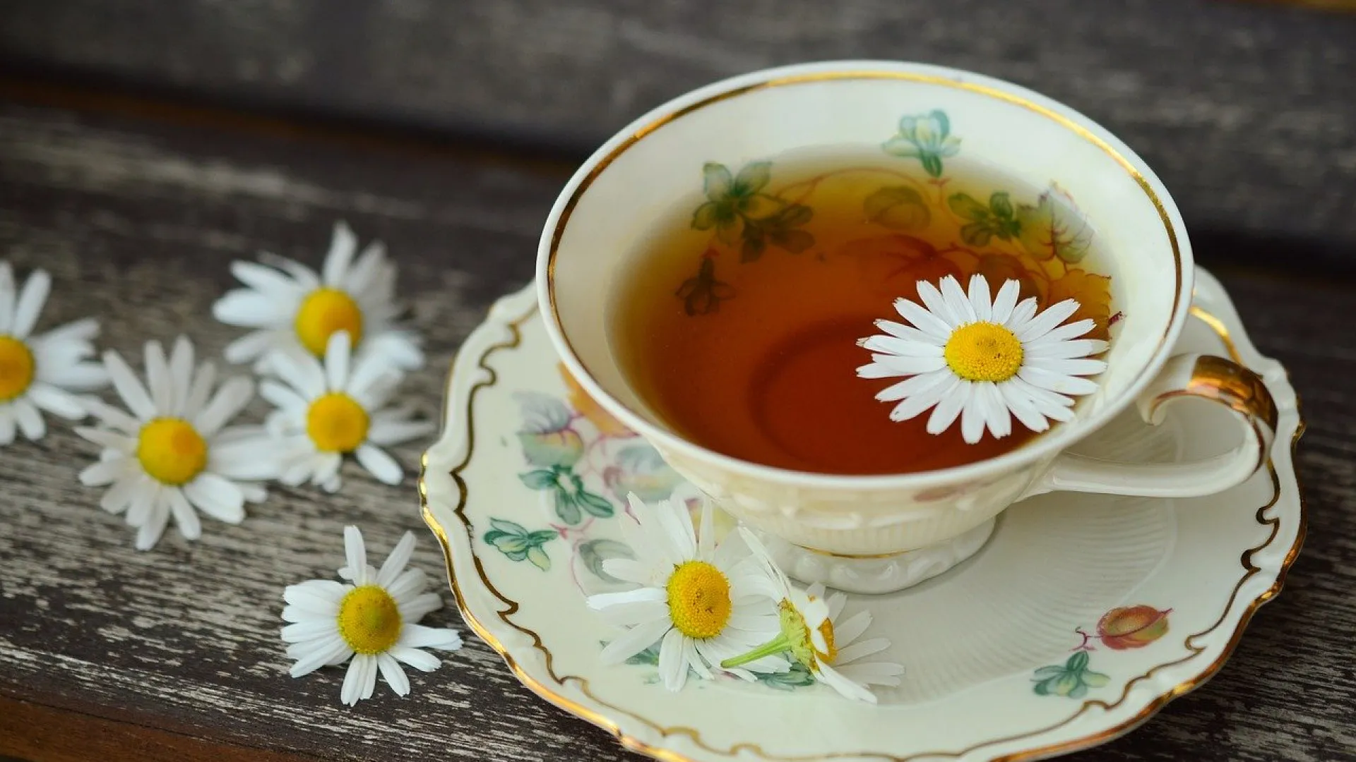 Découvrez les bienfaits du thé bio et des infusions sur votre santé…