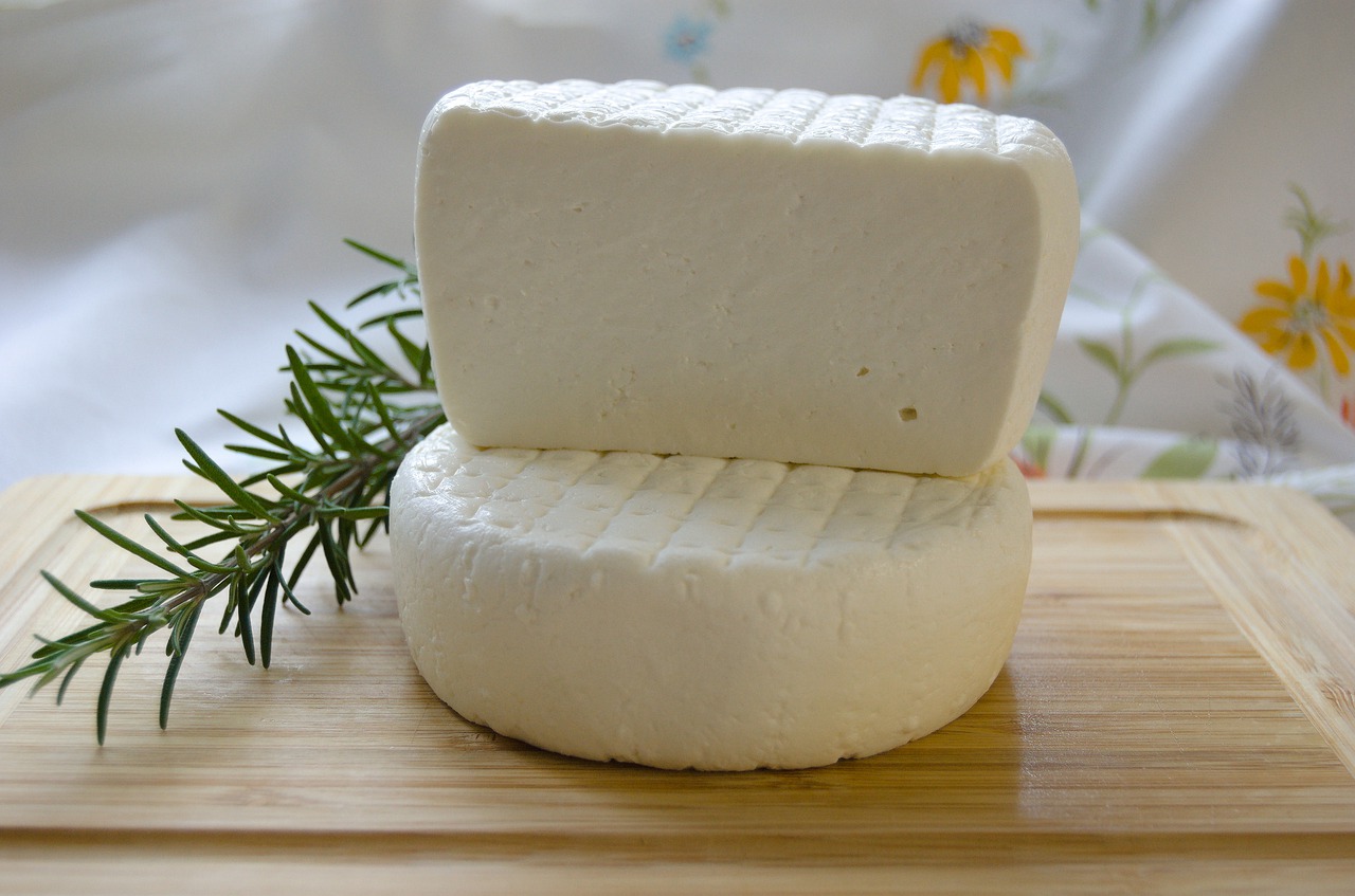 Quels sont les différents types de fromages de chèvre ?