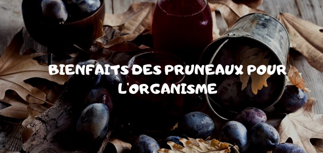 bienfait Pruneaux