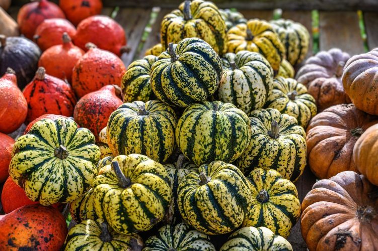 Composition des aliments: pourquoi est-ce nécessaire de toujours vérifier?