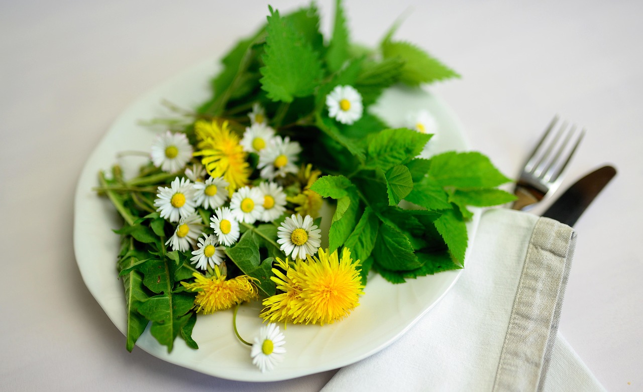 Les plantes à intégrer dans ta routine pour soutenir ton cycle menstruel