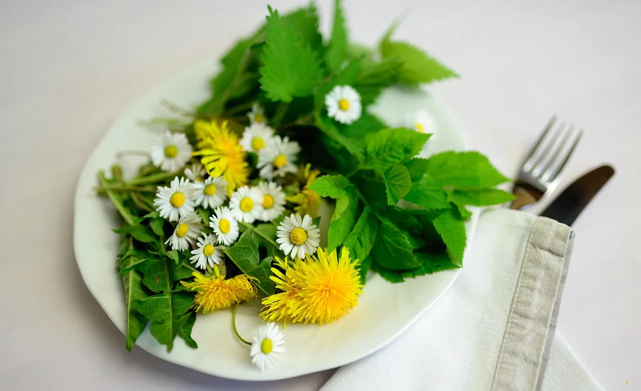 Les plantes à intégrer dans ta routine pour soutenir ton cycle menstruel