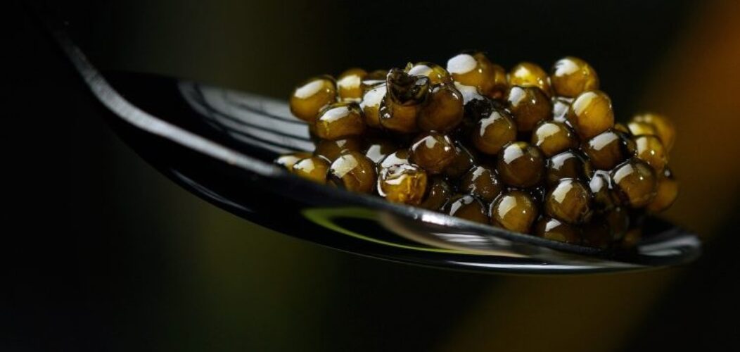 À_la_découverte_du_caviar!