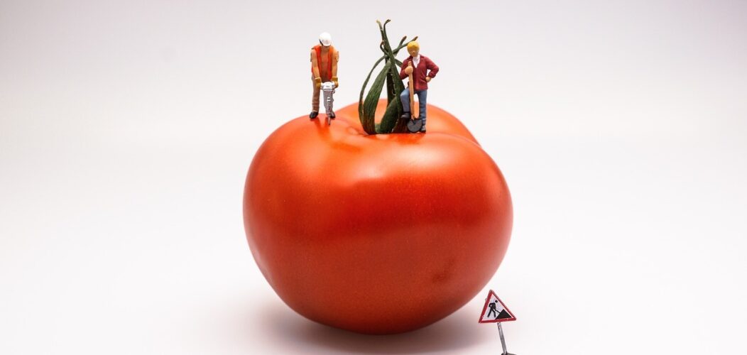 Comment_peler_une_tomate_?
