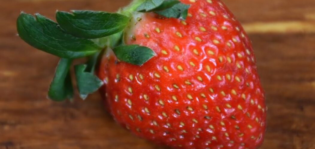 Comment_conserver_des_fraises_?