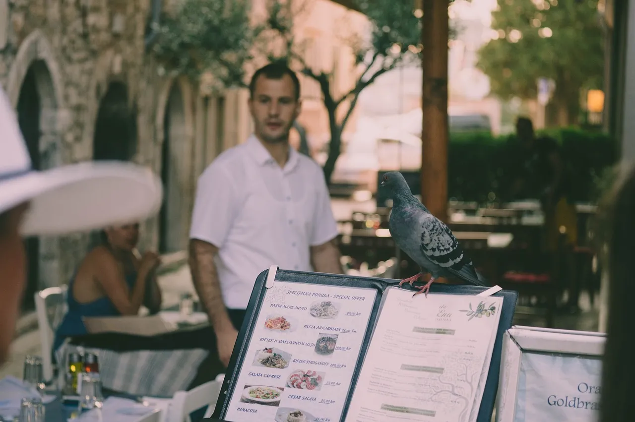 "Formation cuisine"