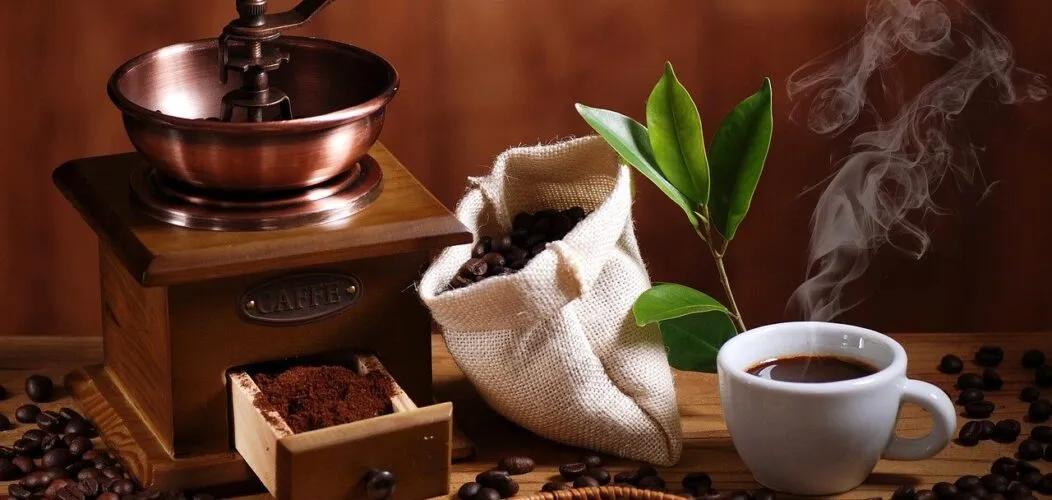 Les_tendances_des_cafés_bio_en_2024