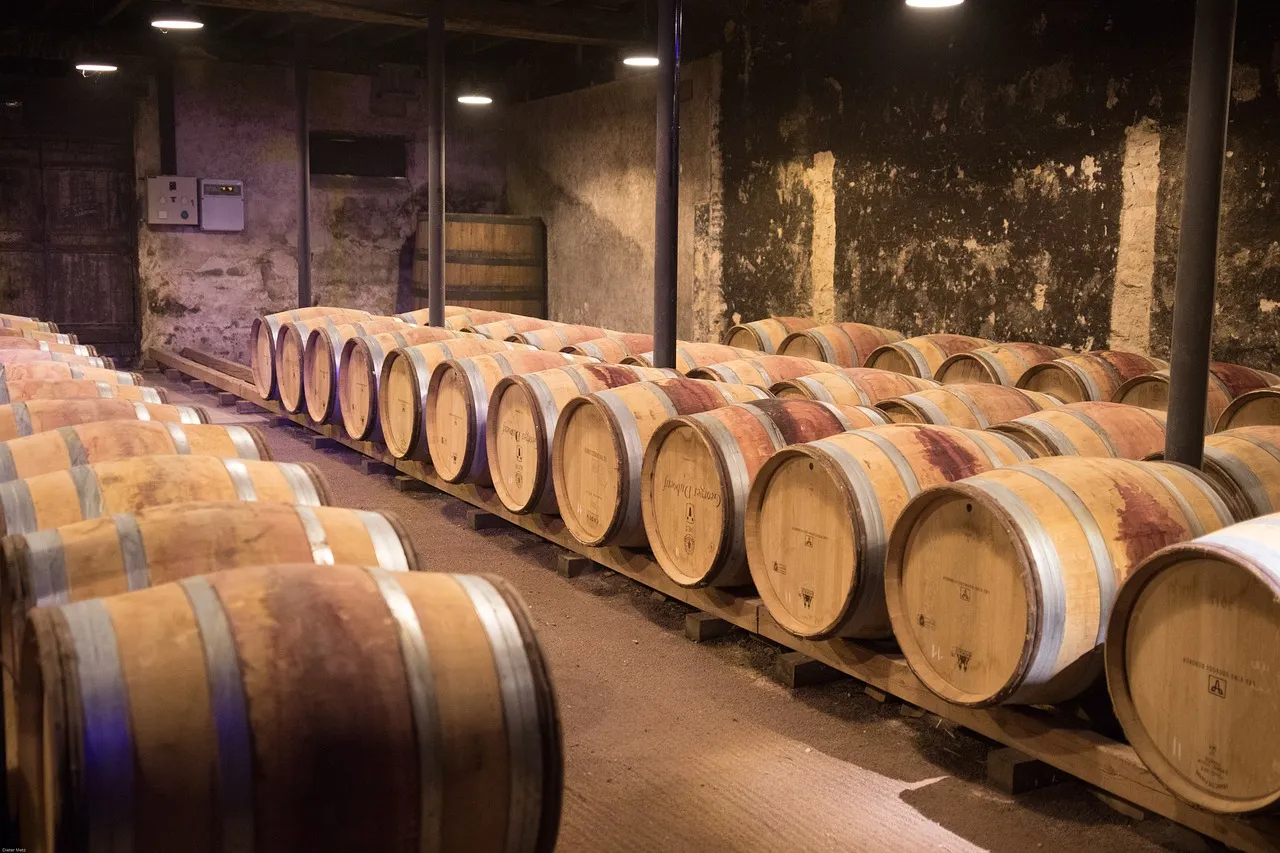 Découvrez le Beaujolais Grand Cru : histoire, terroir et caractéristiques des vins d’exception