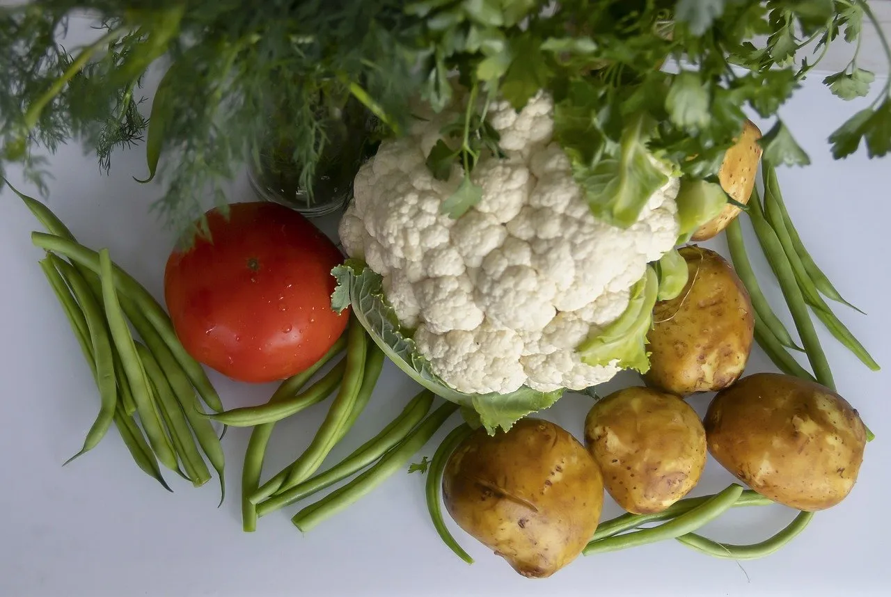 "Formation cuisine"