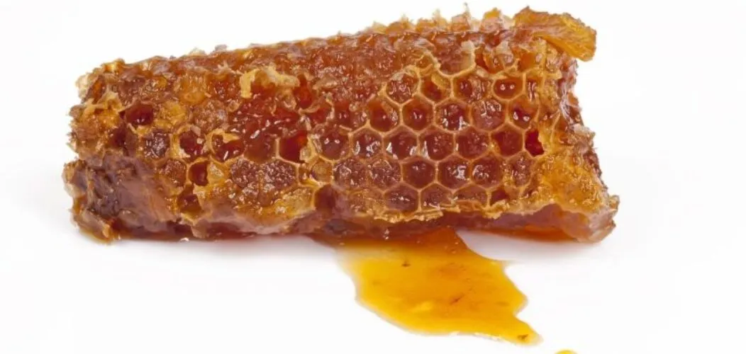 Les_conseils_pour_bien_utiliser_la_propolis