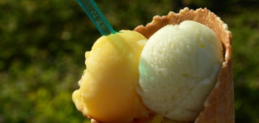 Faites des glaces maison grâce à la sorbetière !