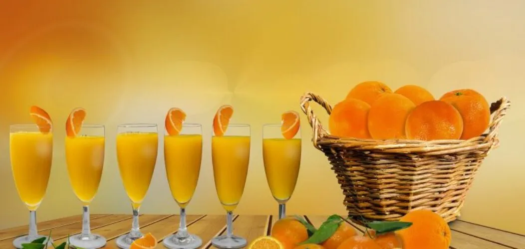 Où_acheter_une_machine_à_jus_pour_professionnel?