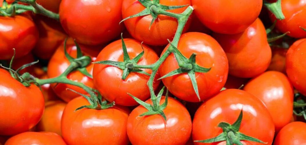 Quels_sont_les_produits_disponibles_dans_une_épicerie_mexicaine?