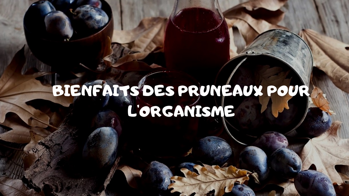Bienfaits et importance des pruneaux