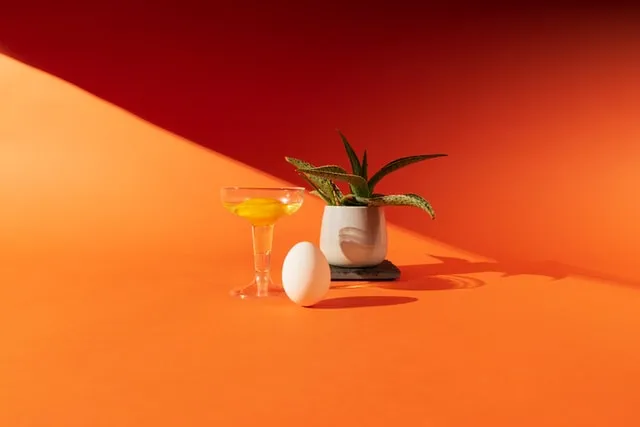 oeuf cocotte