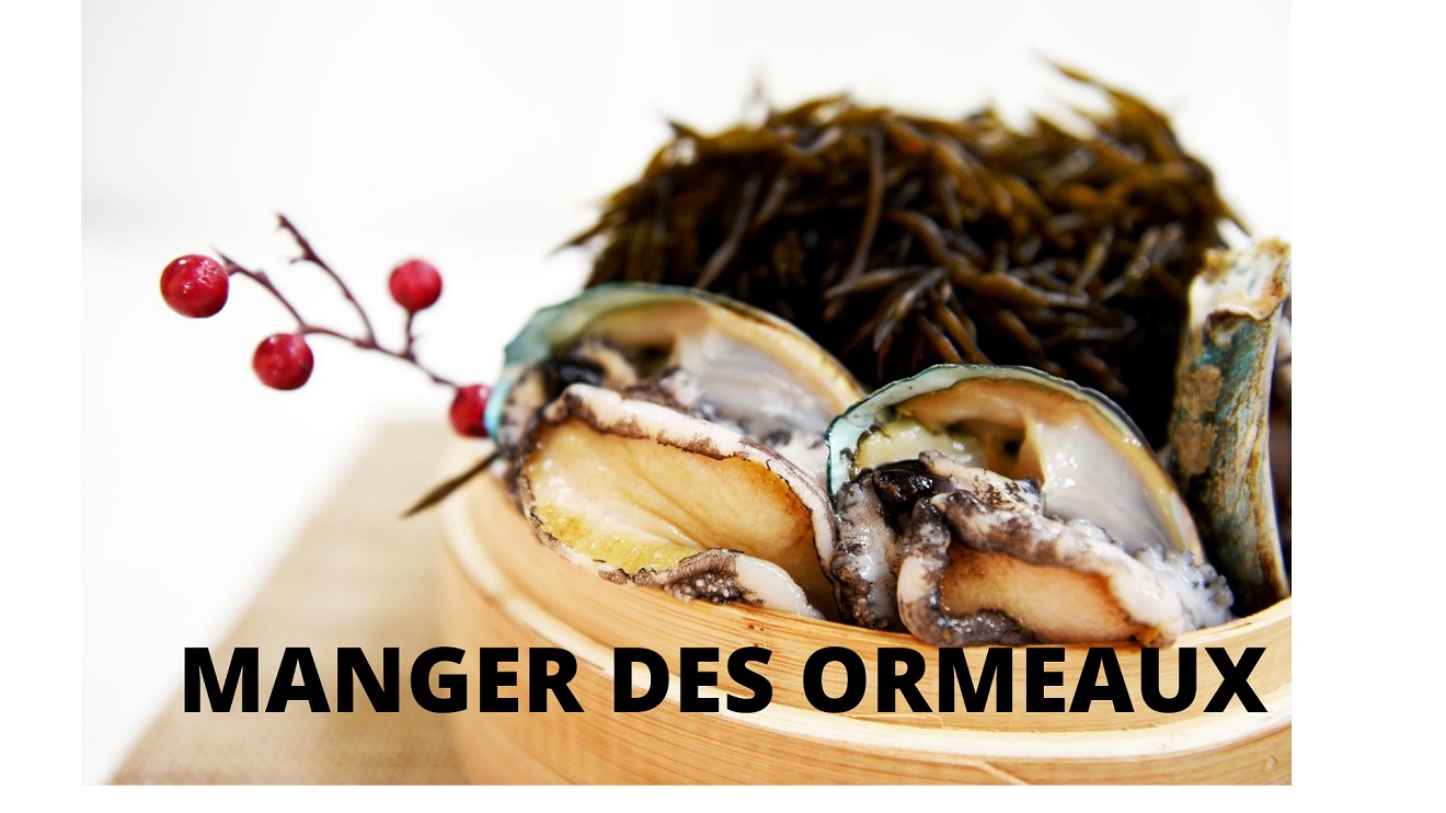 Découvrez les 6 bienfaits présents dans les ormeaux