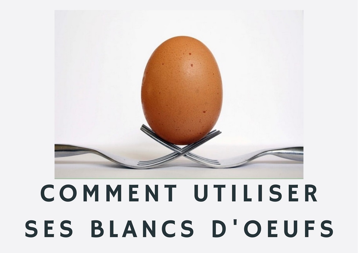 blanc d’œufs