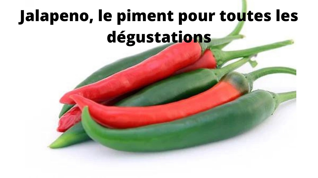 Jalapeno : comment le faire pousser et de quelle manière le consommer ?