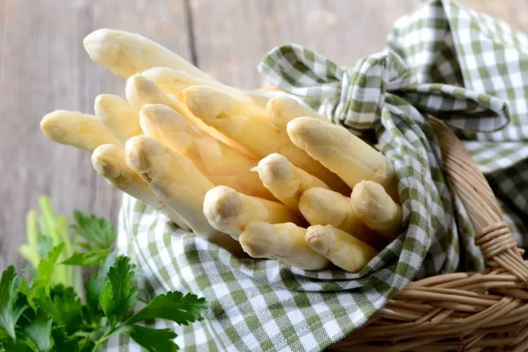 asperges blanches des Landes