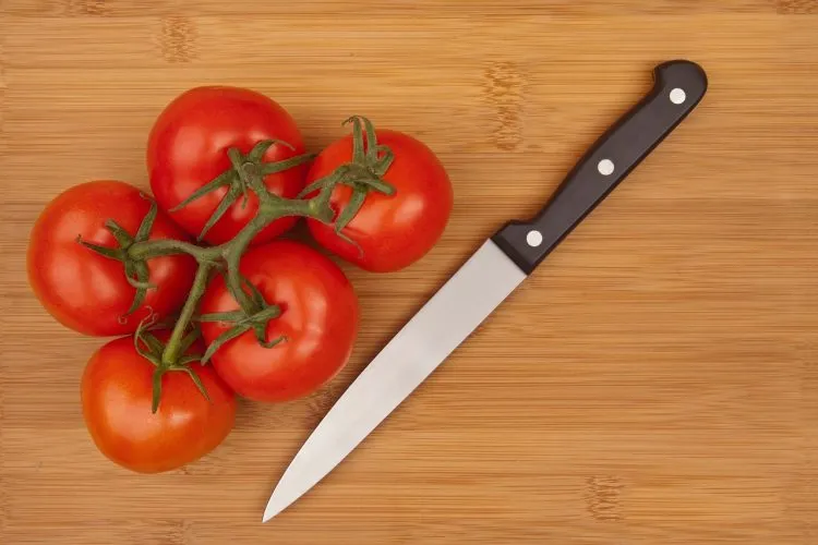 Comment choisir un couteau laguiole?