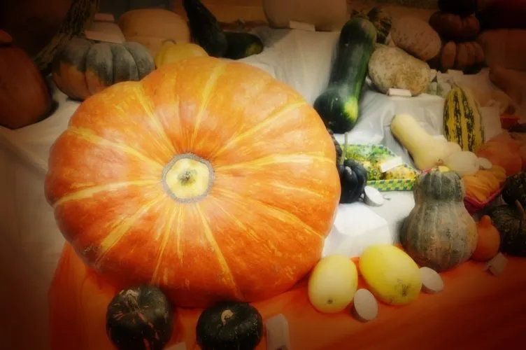 Comment couper un potimarron ?