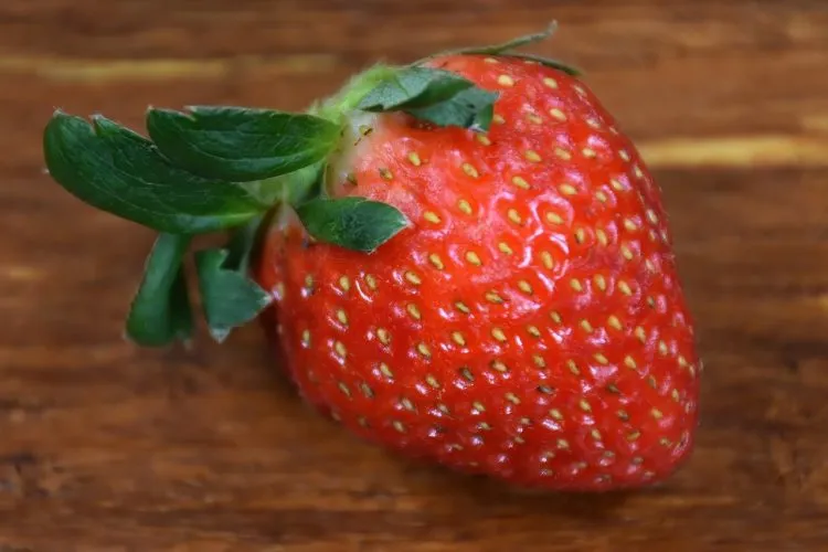 Comment conserver des fraises ?