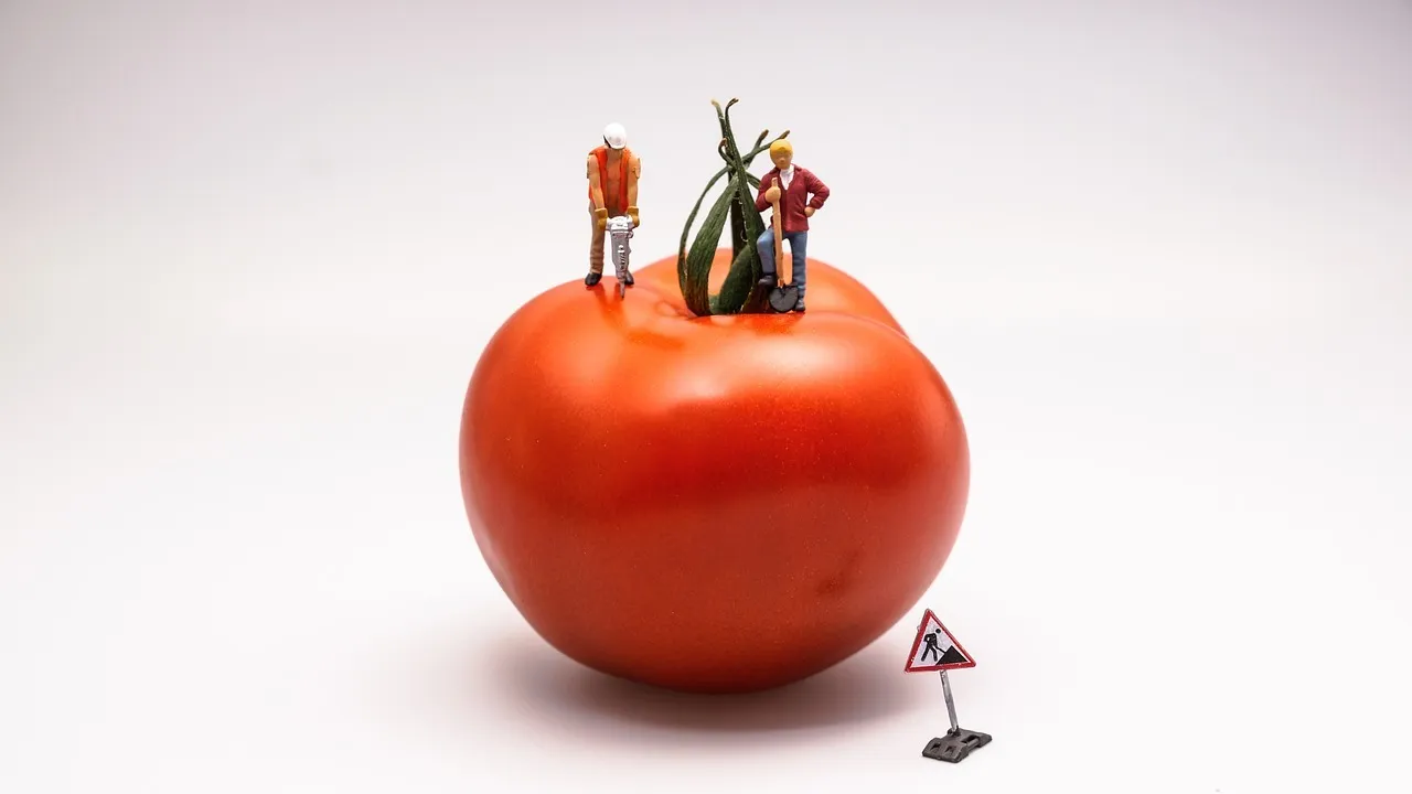 "Formation cuisine"