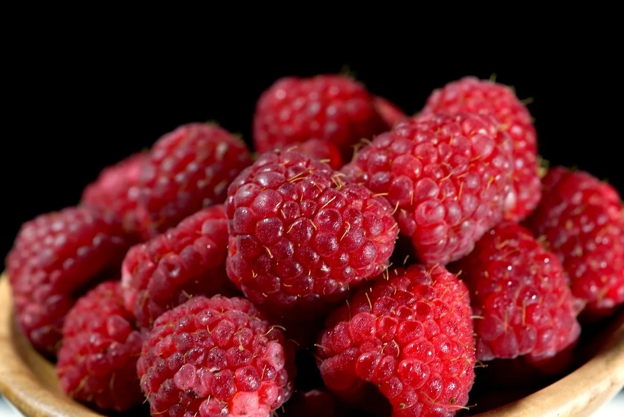 Gelée de framboise