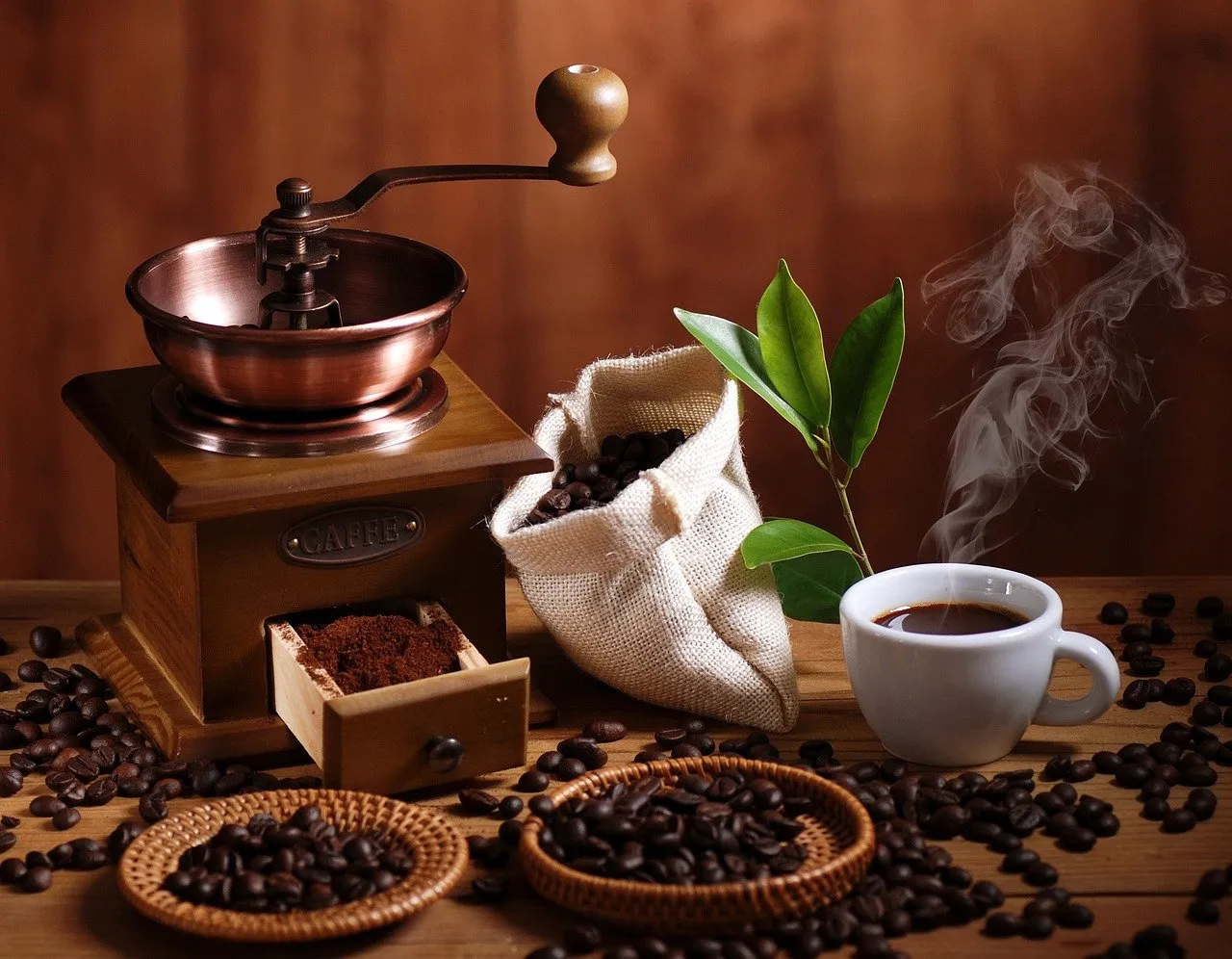 Les tendances des cafés bio en 2024