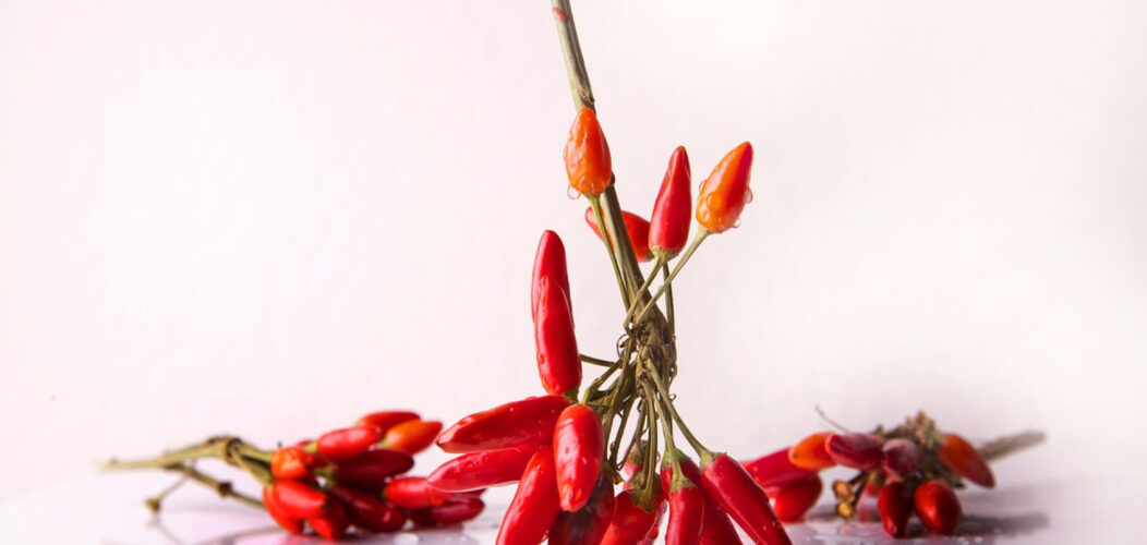 La fascinante histoire de l'échelle de Scoville, intrigante et explosive