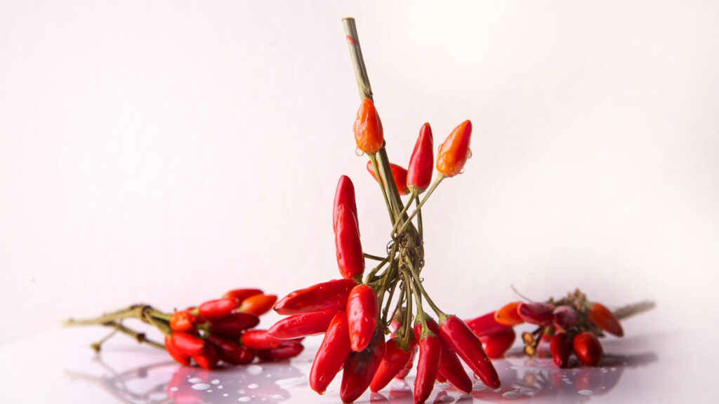 La fascinante histoire de l'échelle de Scoville, intrigante et explosive